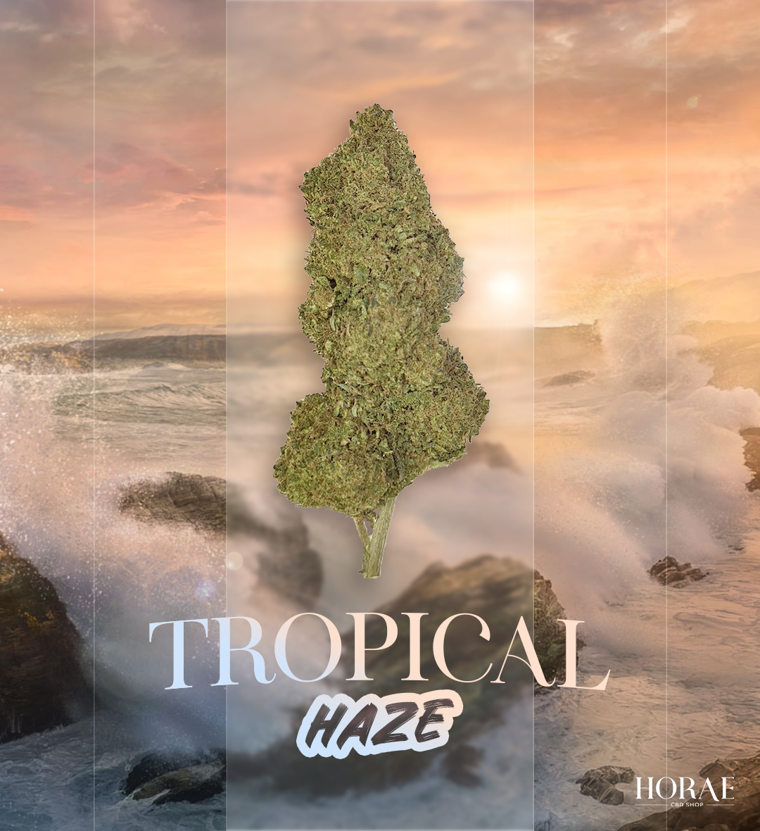 Tropical Haze CBD