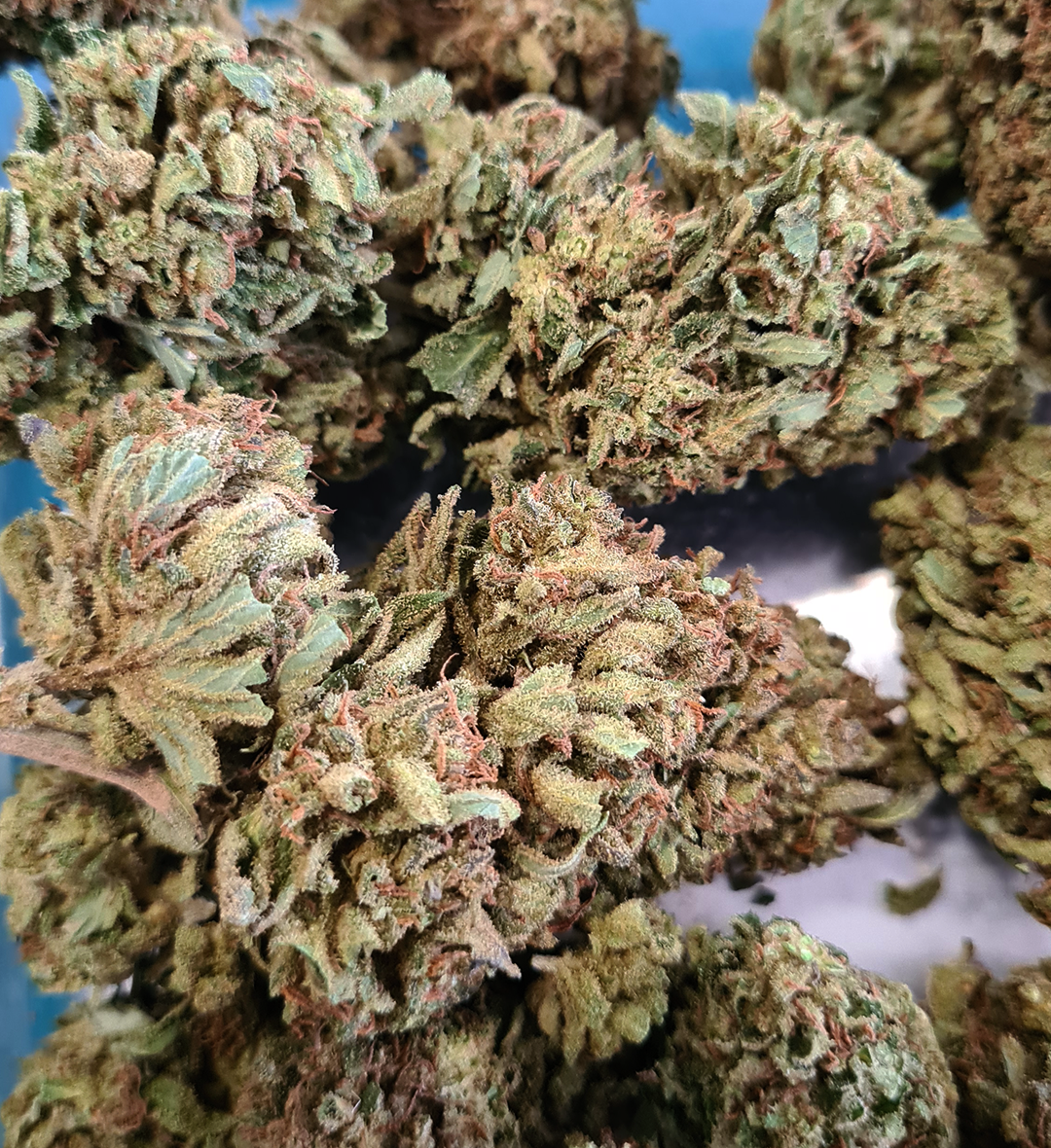 Lemon Skunk CBD