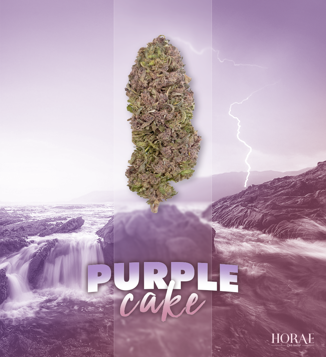 Purple Cake CBD