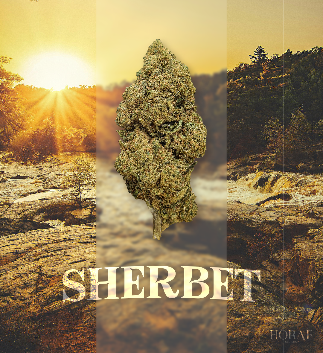 SHERBET CBD