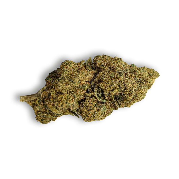 SHERBET CBD