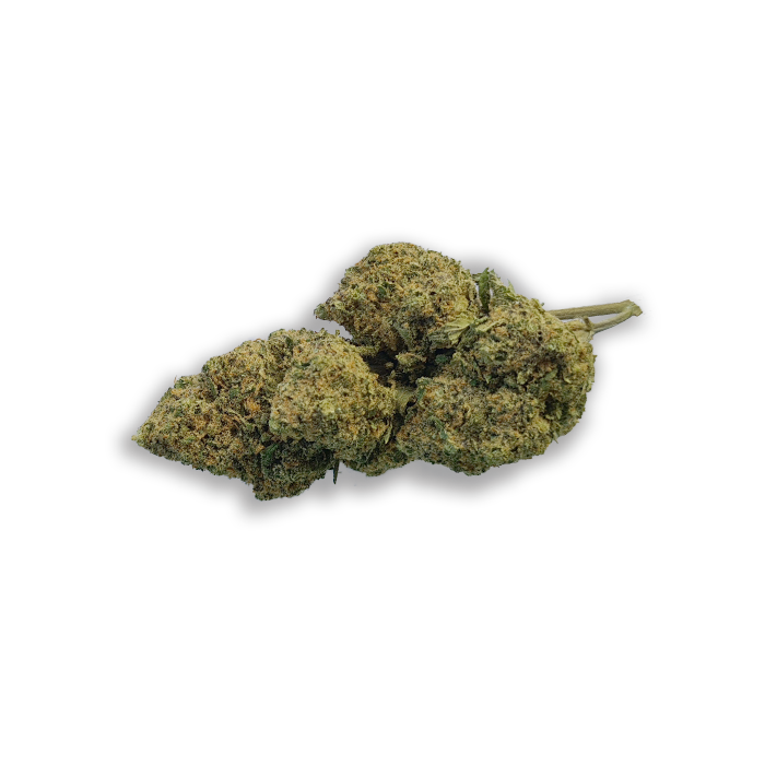 Molokai Frost CBD