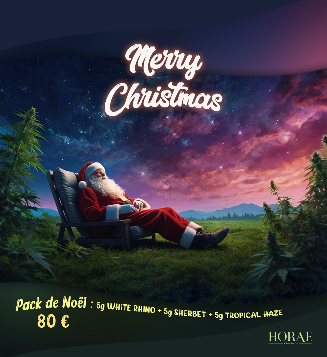 Pack de NOËL